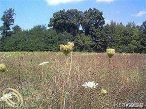 Putnam Twp, MI 48169,Lot 13 OUTBACK Trail