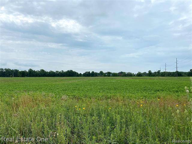 Ira Twp, MI 48023,0000 ARNOLD Road