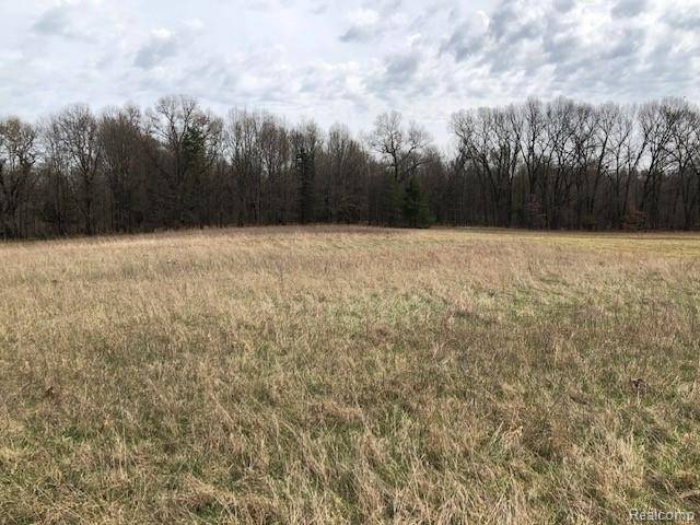 Putnam Twp, MI 48169,Parcel 6 Douglas