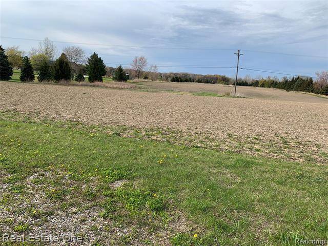 Almont Twp, MI 48003,0 DRYDEN Road