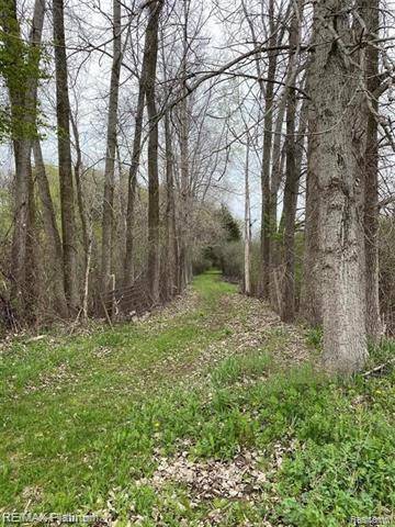 Putnam Twp, MI 48169,000 Joey Drive Vacant Land Parcel 022