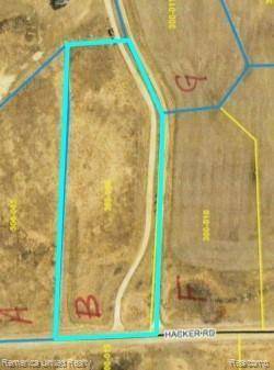 Hartland Twp, MI 48843,PARCEL B HACKER Road