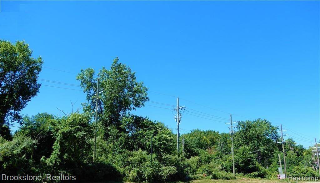 Independence Twp, MI 48346,V/L DIXIE Highway