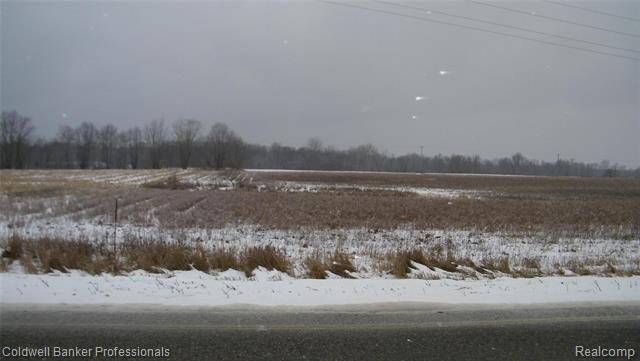 North Branch Twp, MI 48461,Parcel B LAKE PLEASANT Road