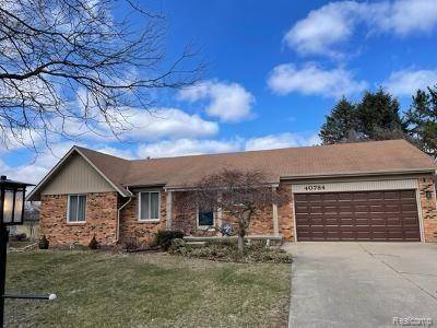 Novi, MI 48375,40784 LADENE LANE