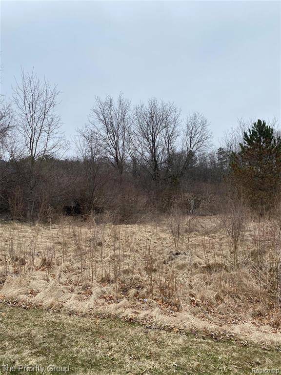 Oxford Twp, MI 48371,160 GREAT PINES  Drive