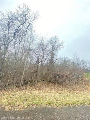 Oxford Twp, MI 48371,225 GREAT PINES DRIVE Drive