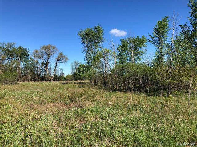 Imlay Twp, MI 48444,Parcel C GRAHAM Road