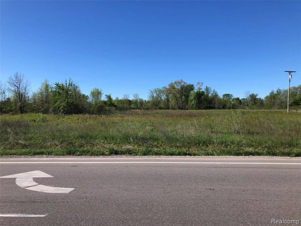 Imlay Twp, MI 48444,Parcel G IMLAY CITY Road