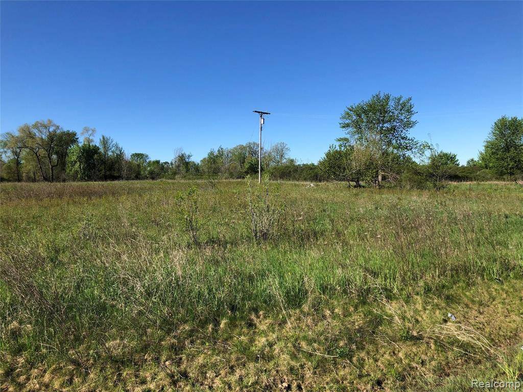 Imlay Twp, MI 48444,Parcel G IMLAY CITY Road