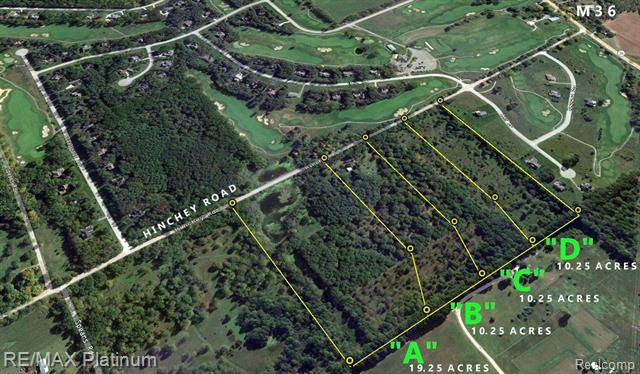 Putnam Twp, MI 48169,Hinchey D HINCHEY VL D Road