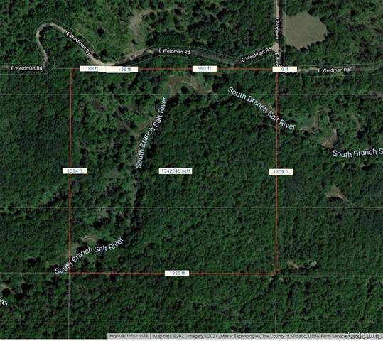 Denver Twp, MI 48618,00 E WEIDMAN Rd, Coleman