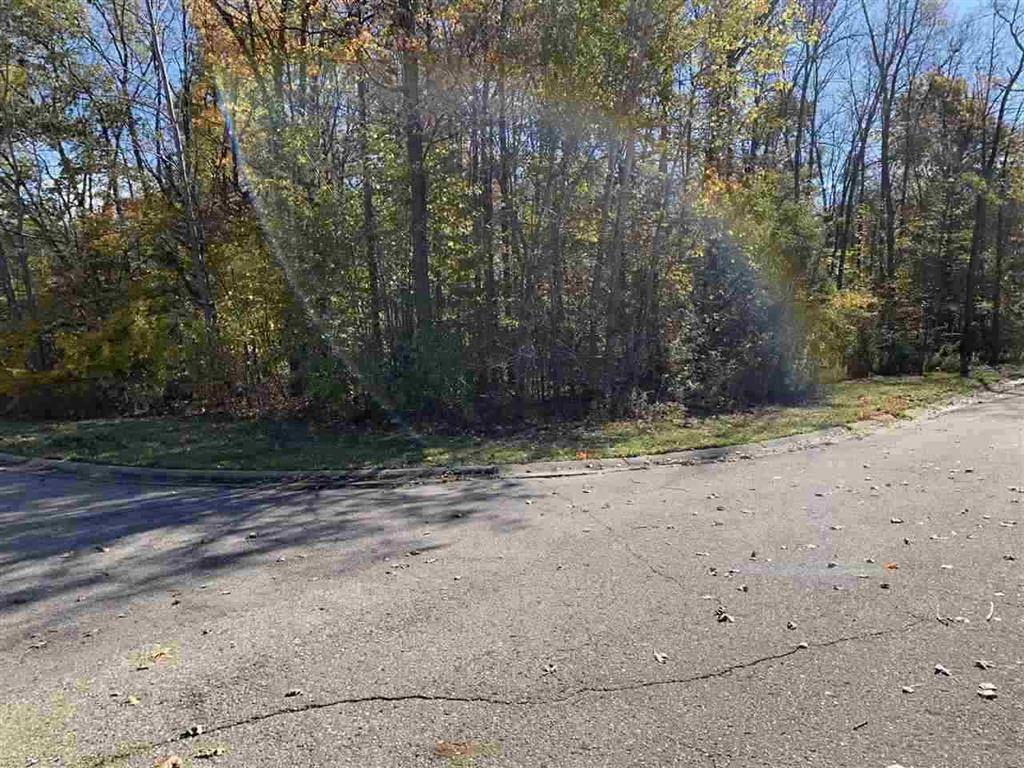 Flint Twp, MI 48433,0 Stonebrook Lane