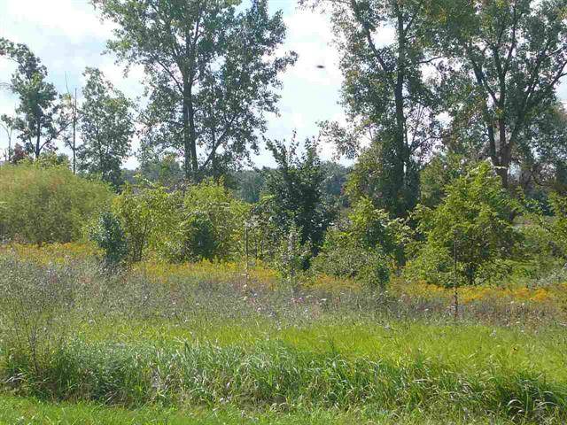 Fenton Twp, MI 48451,4247 Cahokia Ridge