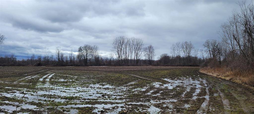 Armada Twp, MI 48005,70555 North Avenue