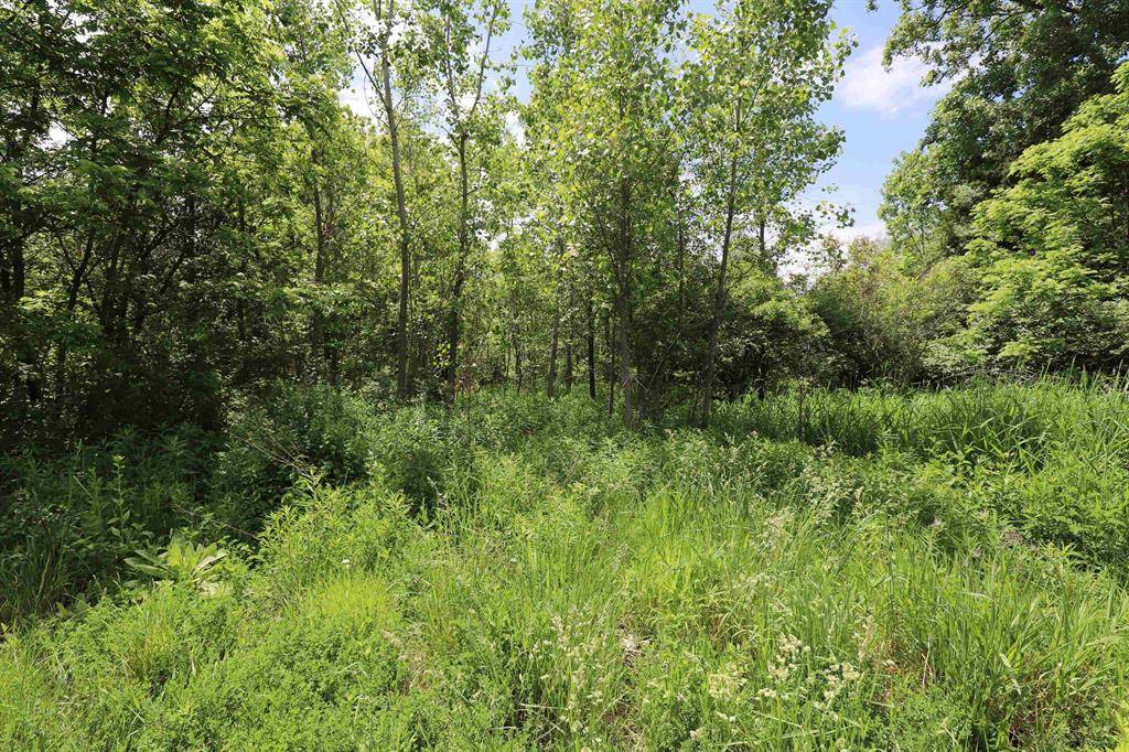 Flint Twp, MI 48433,Potter Road