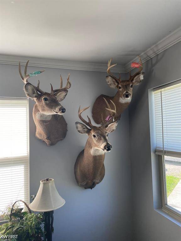 Forest Twp, MI 48464,VL Lake Road
