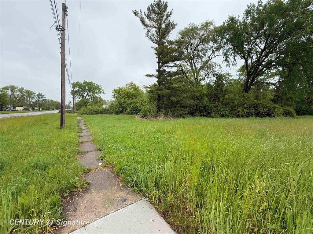 Mt. Morris Twp, MI 48505,0 Detroit Street