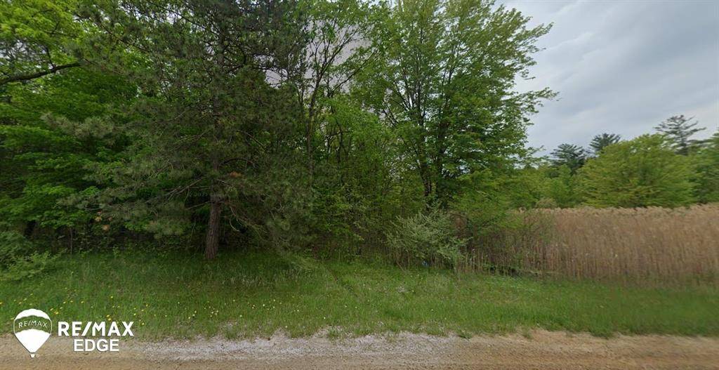 Forest Twp, MI 48463,0 Farrand Road