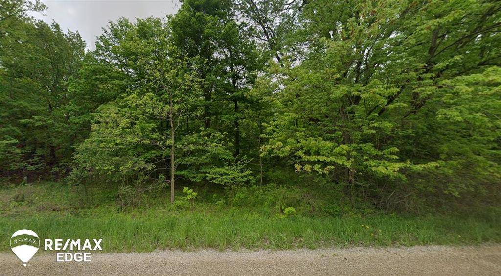 Forest Twp, MI 48463,00 Farrand Road