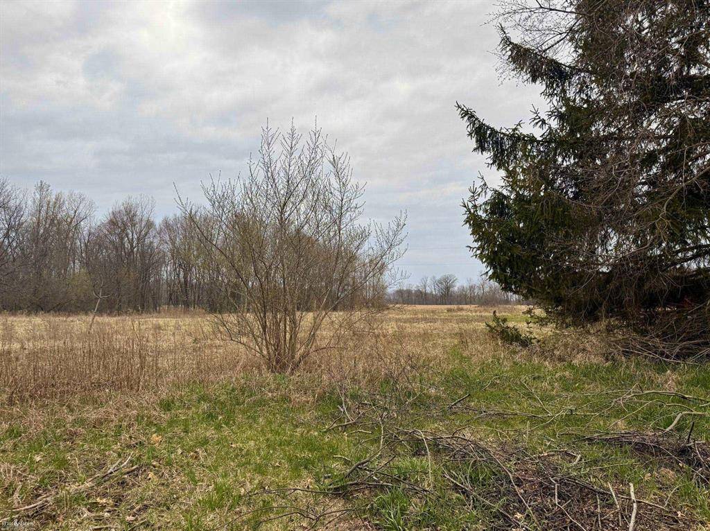 Shiawassee Twp, MI 48857,V/L C-1 Cork Road