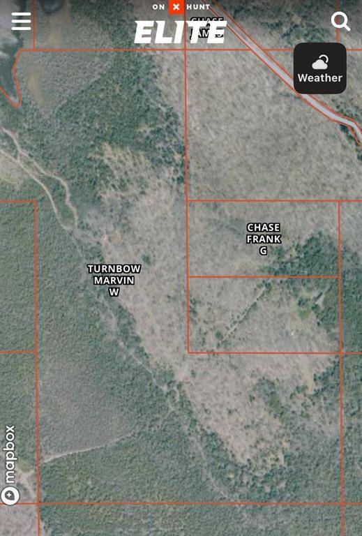 Mueller Twp, MI 49836,TBD  00 Camp 23 Road Road