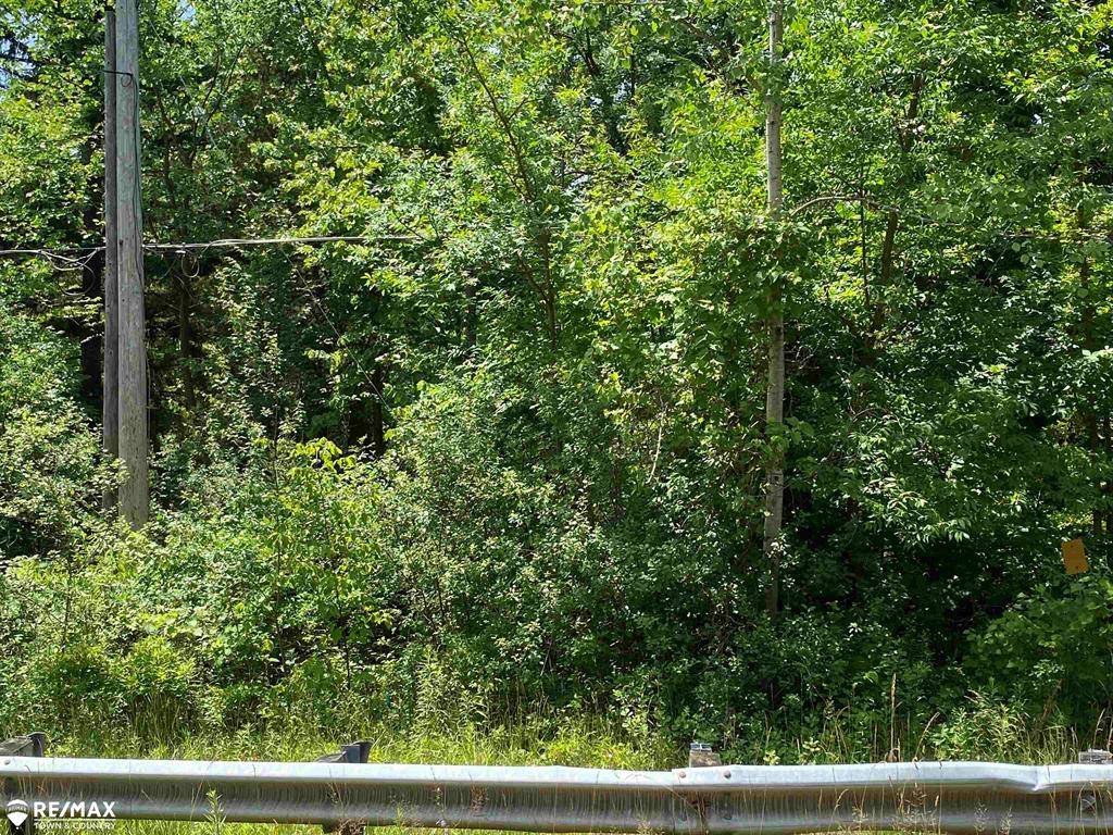 Flushing Twp, MI 48433,0 River Road