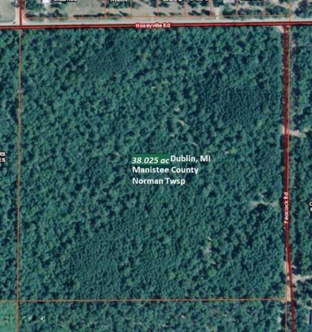 Out Of Area, MI 49689,0 V/L HOXEYVILLE RD