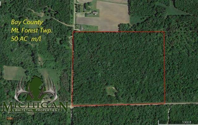 Mt. Forest Twp, MI 48652,VL W Townline 16 Road