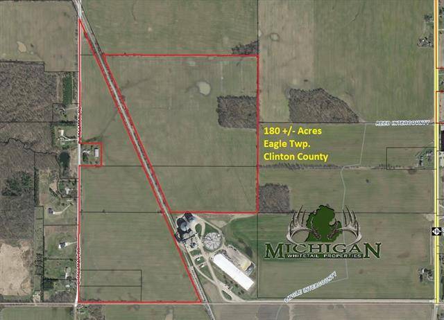 Eagle Twp, MI 48837,VL S TALLMAN ROAD