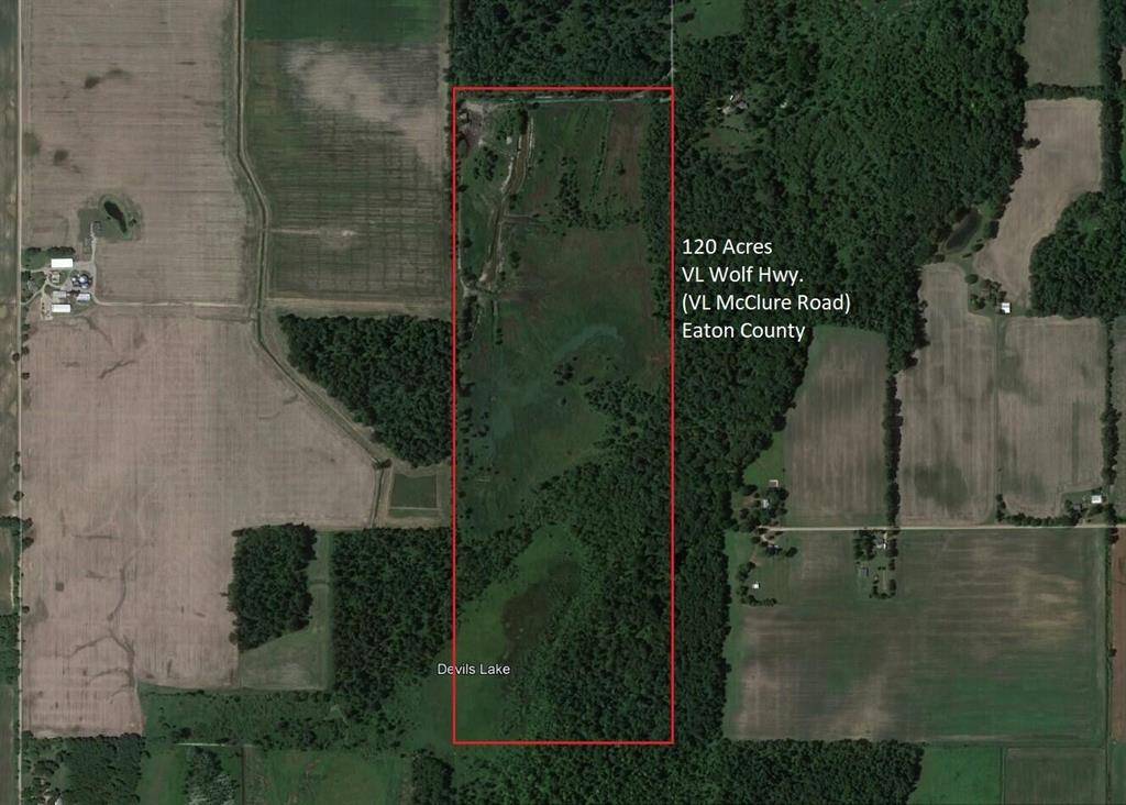 Brookfield Twp, MI 48827,VL McClure Rd - Wolf Hwy.