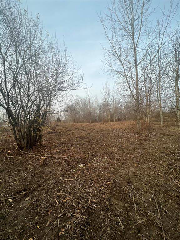 Rollin Twp, MI 49253,0 Griswold Road