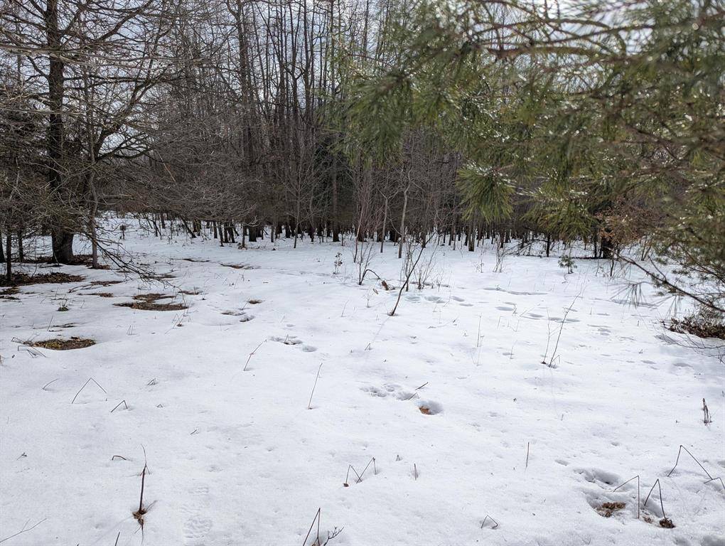 Lee Twp, MI 49450,V/L 5800 108TH AVE