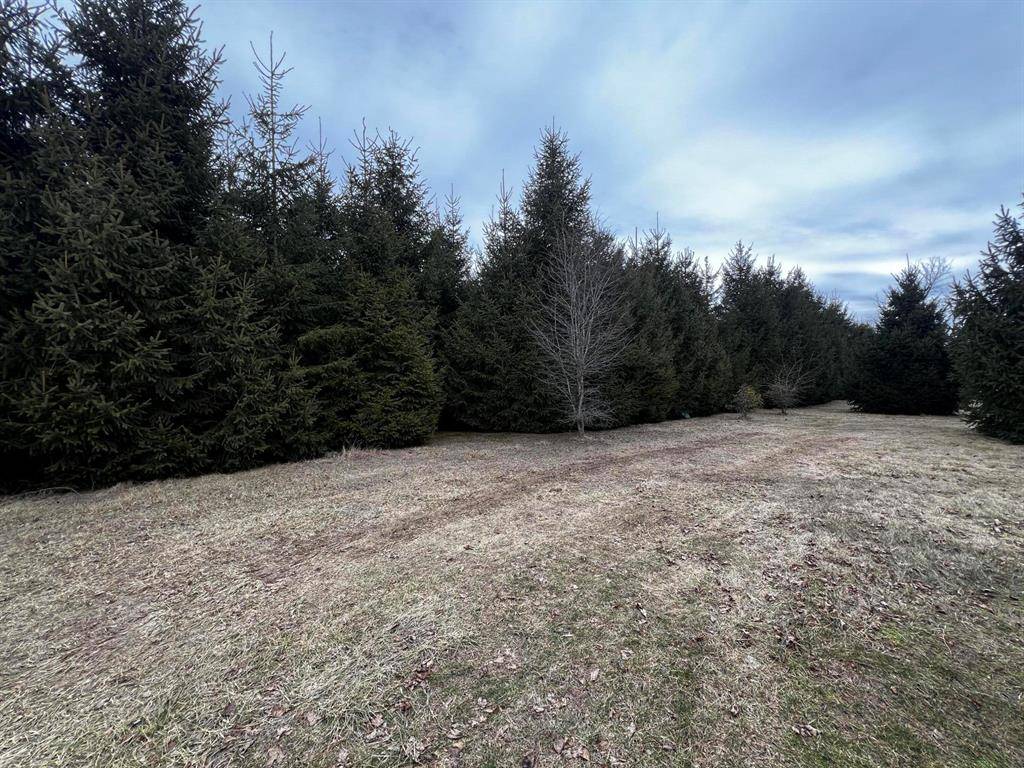 Cambria Twp, MI 49242,Lilac Road