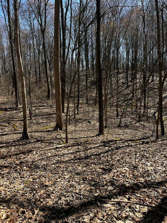 Springfield Twp, MI 48350,12100 Woodland Trail