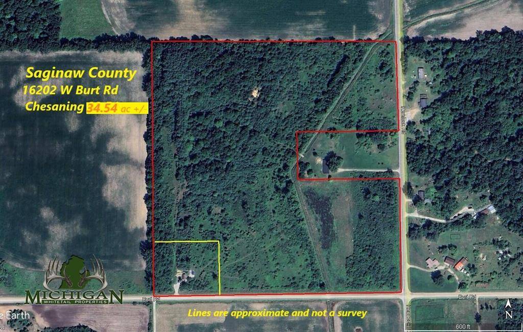 Brant Twp, MI 48616,16202 W Burt Road