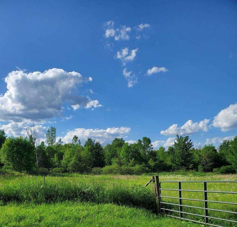 Rollin Twp, MI 49247,18664 Bradstreet Road