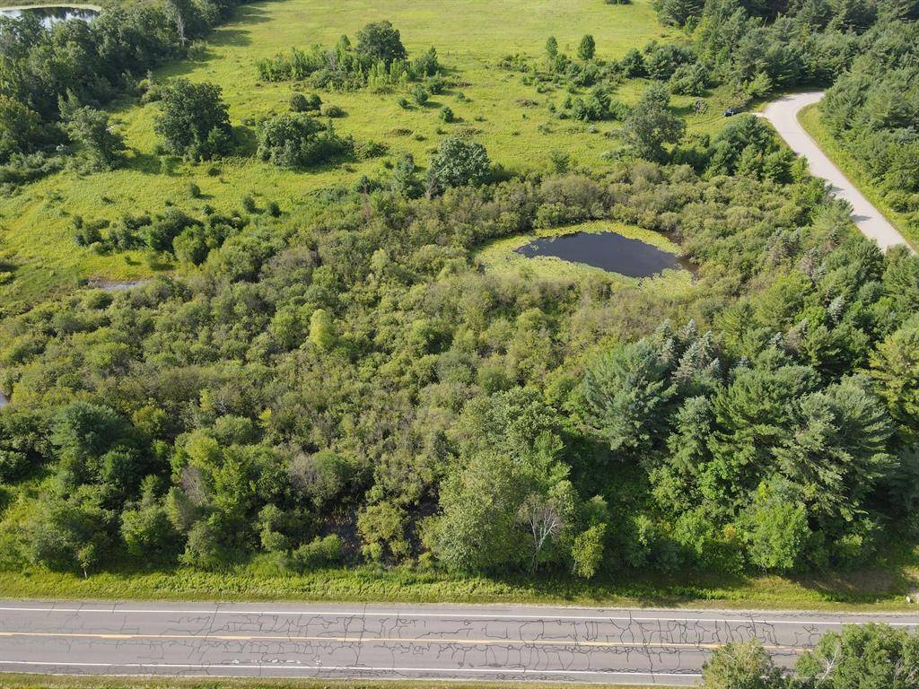 Hill Twp, MI 48635,0 VL Rose City Rd