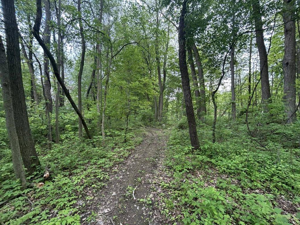 Butler Twp, MI 49082,VL Litchfield Road