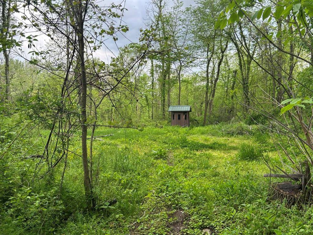 Butler Twp, MI 49082,VL Litchfield Road