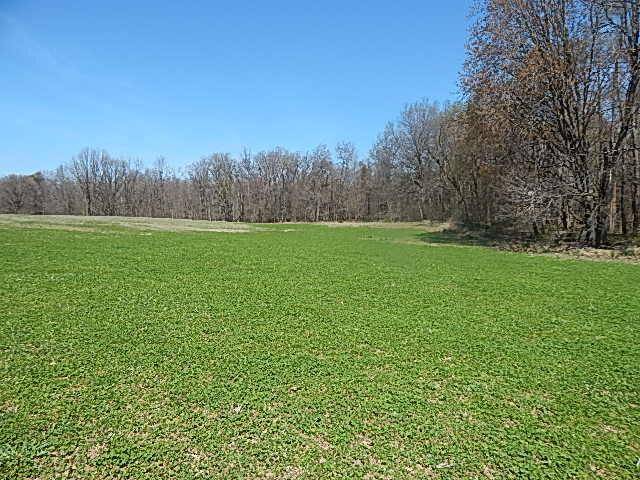 Burlington Twp, MI 49029,9999 N N Dr S S