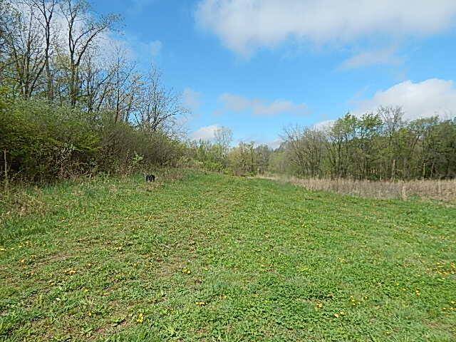 Moscow Twp, MI 49249,7200 Combs Road