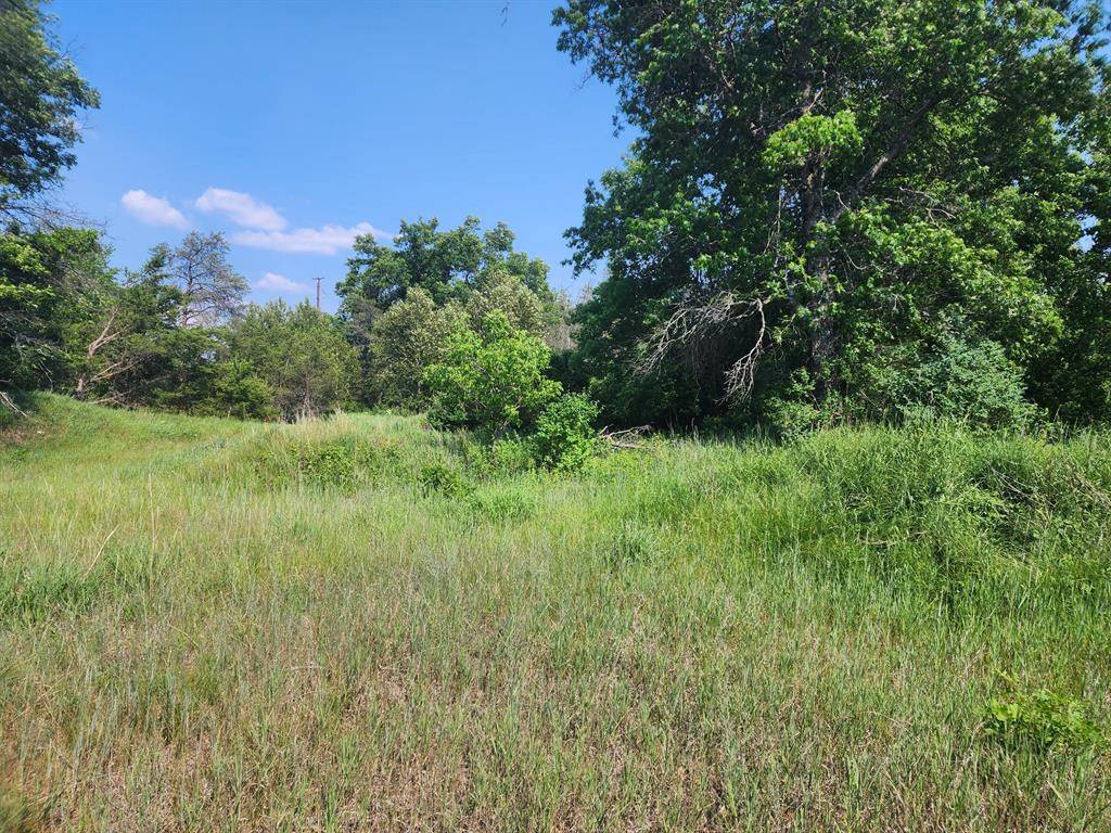 Mentor Twp, MI 48647,900 Stitt Lane