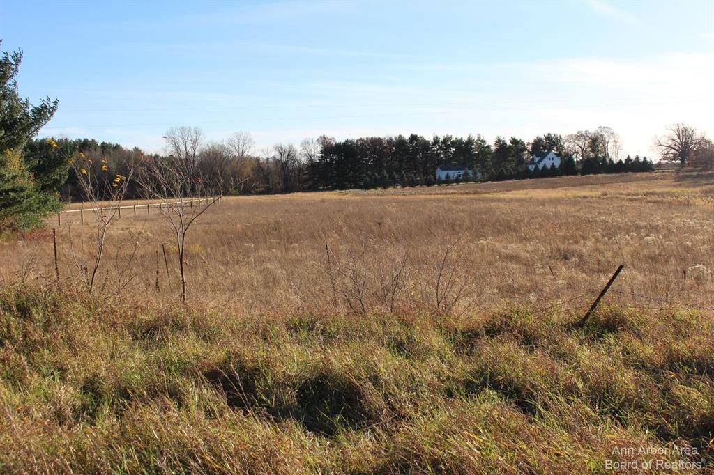 Grass Lake Twp, MI 49240,0 Curtis Road