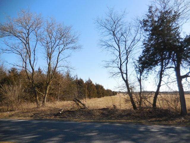 Woodstock Twp, MI 49230,Lot 5 CEMENT CITY RD Vicary Rd.