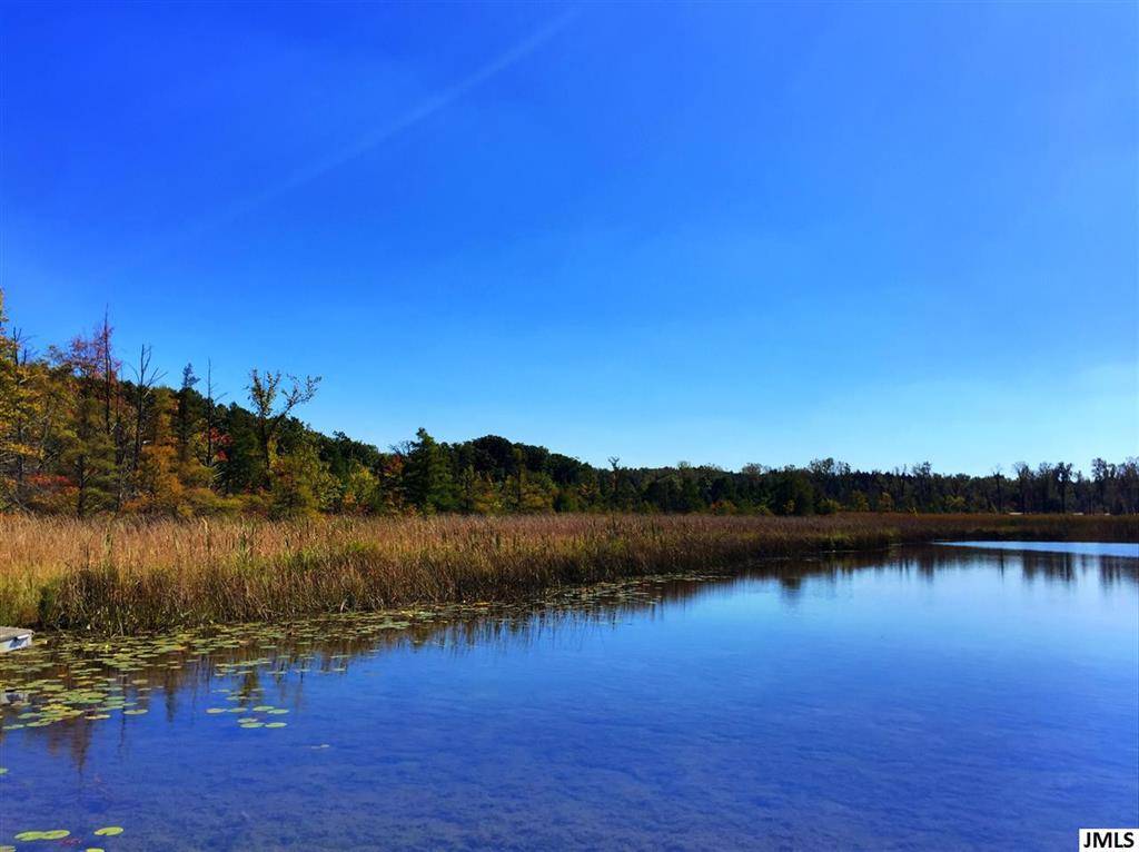 Leoni Twp, MI 49201,7040 SANCTUARY DR