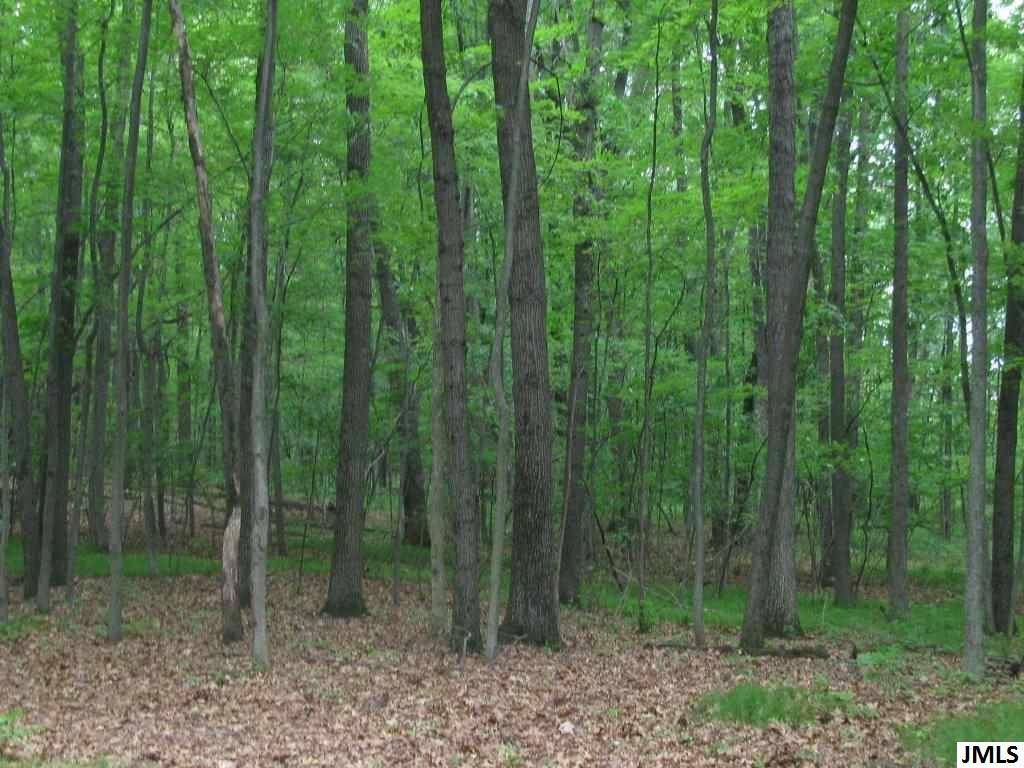 Leoni Twp, MI 49201,Unit 28 SANCTUARY DR