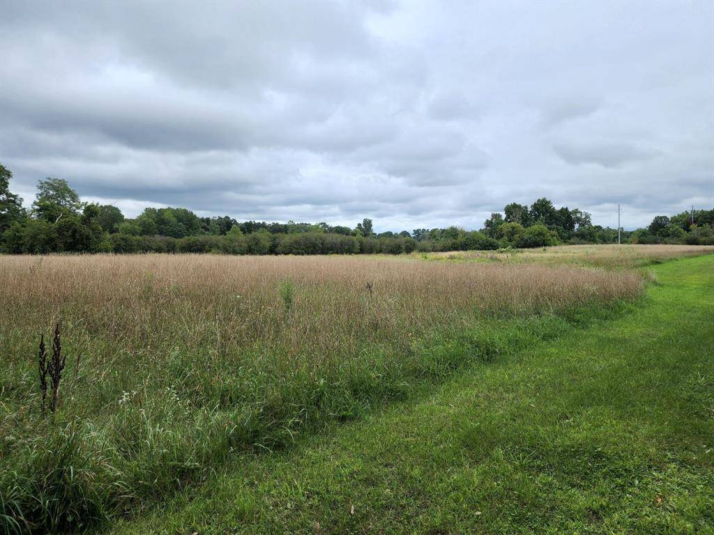 Leoni Twp, MI 49201,5441 E Michigan Avenue
