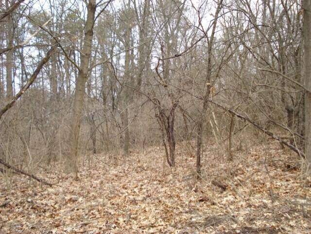 Summit Twp, MI 49203,2300 Helena Avenue