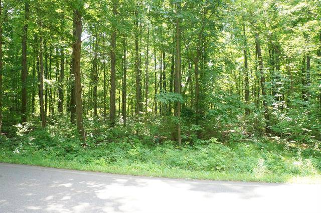 Sandstone Twp, MI 49201,Lot 3 Leora Lane